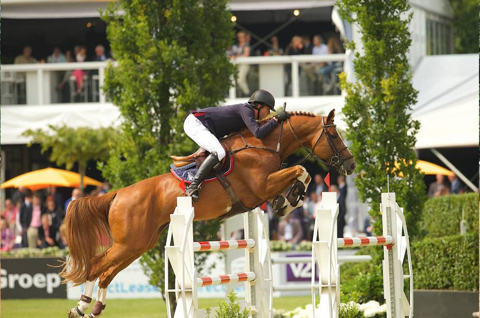 Show Jumping Rules